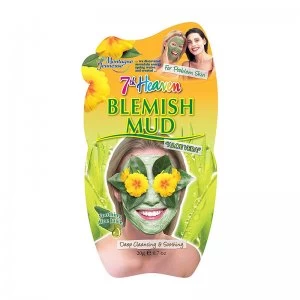 image of Montagne Jeunesse Blemish Mud Aloe Masque