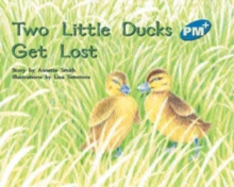 Image of Two Little Ducks Get Lost - Paperback - Used