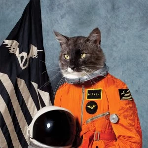 Image of Klaxons - Surfing the Void 2LP - Orange Vinyl (RSD 2020)