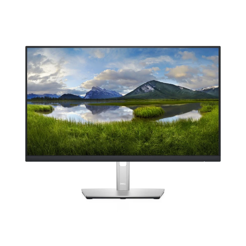 Image of DELL P Series P2422H computer monitor 60.5cm (23.8") 1920 x 1080