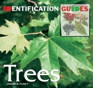 Image of British and European Trees by Pamela Forey Paperback