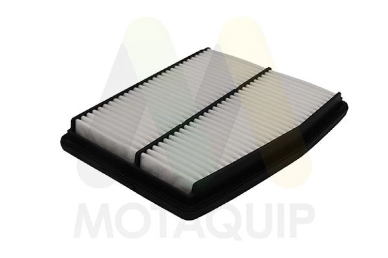Image of MOTAQUIP Air filter MOTAQUIP LVFA1760