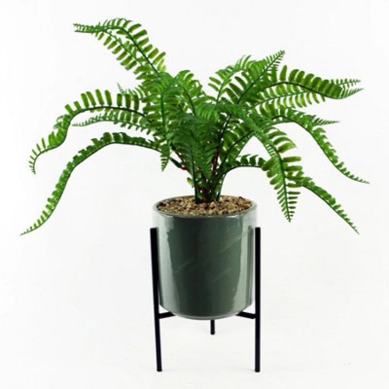 Image of Leaf 40cm Artificial Fern with Ceramic Planter & Stand Green unisex