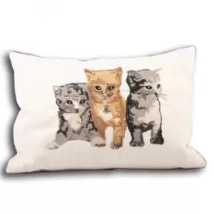 image of Kitty Embroidered Cushion Cream / 35 x 50cm / Polyester Filled