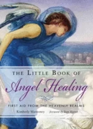 Image of little book of angel healing first aid from the heavenly realms