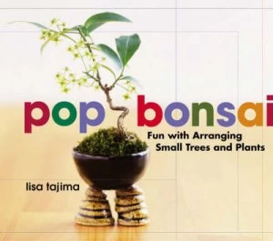 Image of Pop Bonsai Fun with Arranging Small Trees and Plants by Lisa Tajima Book