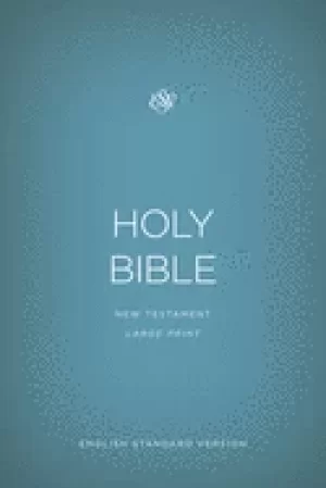 Image of esv outreach new testament large print
