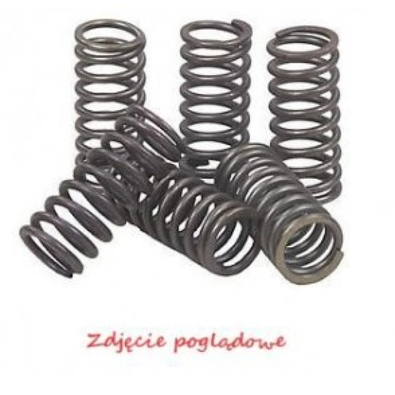 Image of EBC Brakes Clutch Spring Set EBC Brakes CSK198