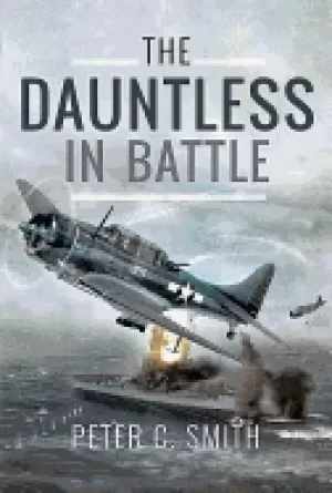 Image of dauntless in battle