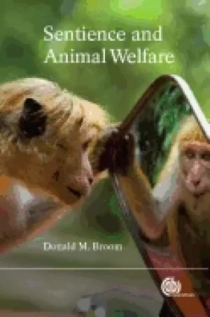 Image of sentience and animal welf