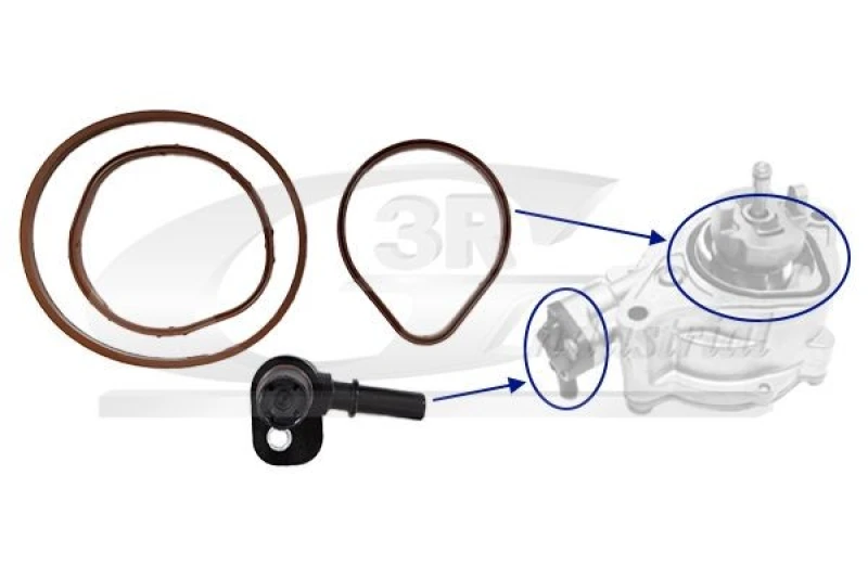 Image of 3RG Repair Kit, vacuum pump (brake system) 3RG 74801