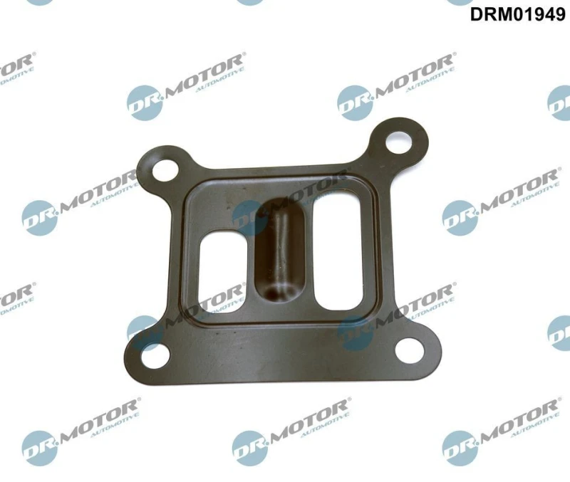 Image of DR.MOTOR AUTOMOTIVE Gasket, water pump DR.MOTOR AUTOMOTIVE DRM01949