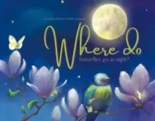 Image of Where Do Butterflies Go at Night?