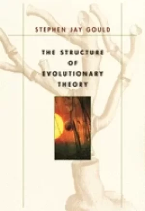 Image of structure of evolutionary theory