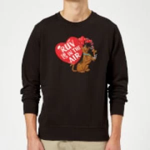 image of Scooby Doo Ruv Is In The Air Sweatshirt - Black