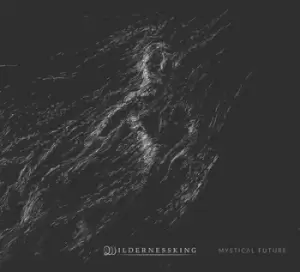 Image of Mystical Future by Wildernessking CD Album
