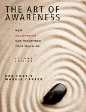 Image of art of awareness how observation can transform your teaching