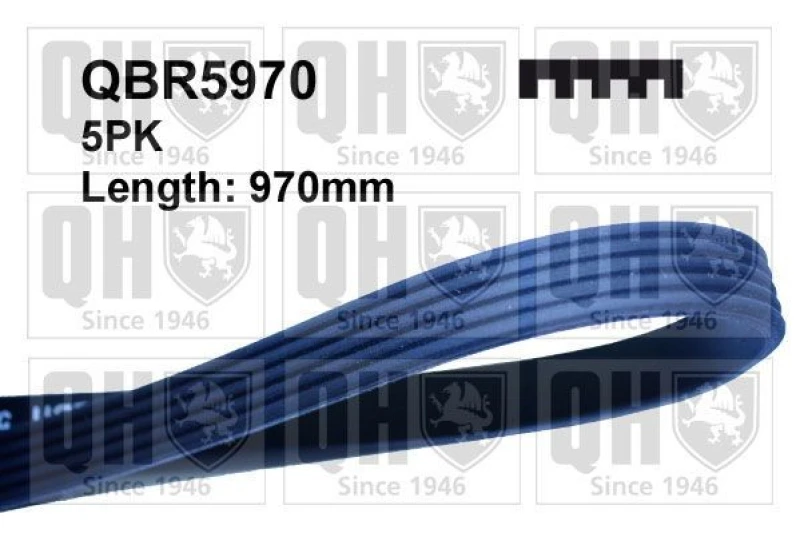 Image of QUINTON HAZELL Serpentine belt QUINTON HAZELL QBR5970