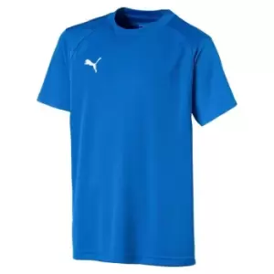 Image of Puma Training T-Shirt - Blue