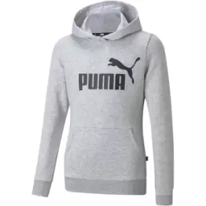 Image of Puma Logo Hoodie FL G - Grey