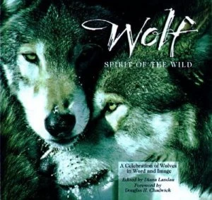 Image of Wolf by Diana Landau Book
