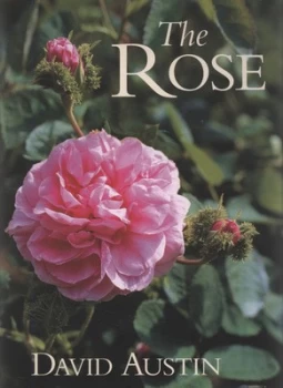 Image of The Rose by David Austin Hardback