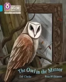 Image of The Owl in the Mirror : Band 07/Turquoise