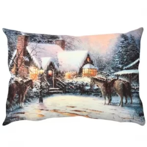 Image of A50837 Multicolor Cushion
