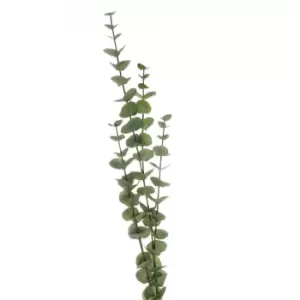 Image of Large Cineraria Eucalyptus Spray