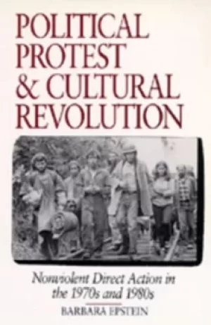Image of Political protest and cultural revolution by Barbara Leslie Epstein