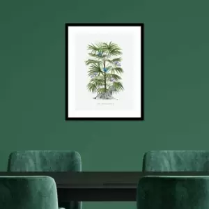 Image of The Art Group Summer Thornton (zebra Palm) 40X50