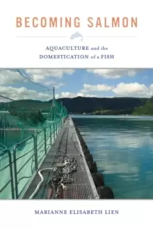 Image of Becoming Salmon : Aquaculture and the Domestication of a Fish