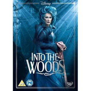 Image of Disney's Into the Woods DVD