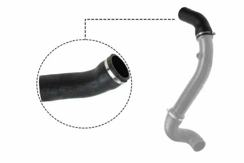 Image of Charger intake hose VAICO V30-2717