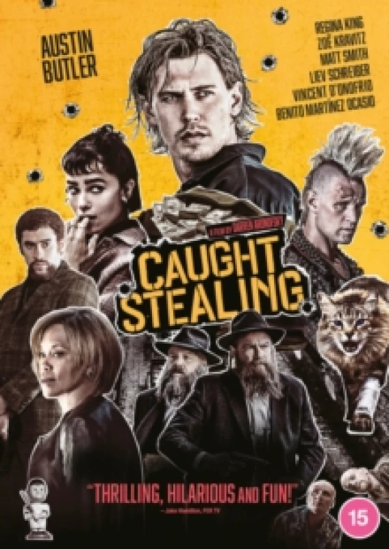 Image of Caught Stealing DVD