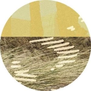 Image of Parris &ndash; Terrapin EP Vinyl