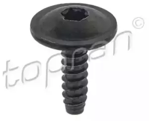 Image of TOPRAN Screw / Bolt 115 717 AUDI,FIAT,SEAT,A3 Schragheck (8P1),A3 Sportback (8PA),A3 Cabrio (8P7),Ducato Kastenwagen (250_, 290_)