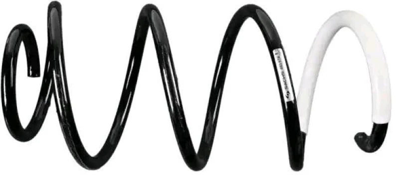 Image of Coil spring SACHS 993 574