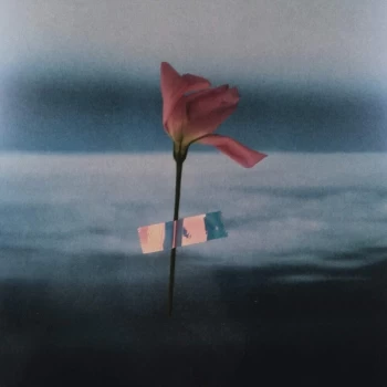 Image of Will Samson - Paralanguage Vinyl