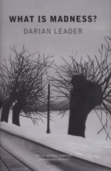 Image of What Is Madness by Darian Leader Hardback