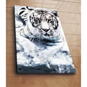 Image of 70100C-076 Multicolor Decorative Canvas Painting