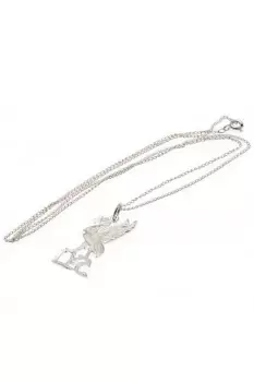 Image of Sterling Silver Liverbird Pendant And Chain