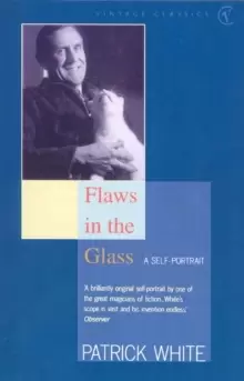 Image of Flaws in the Glass