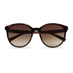 image of Ted Baker TB1703 149 Sunglasses - Brown