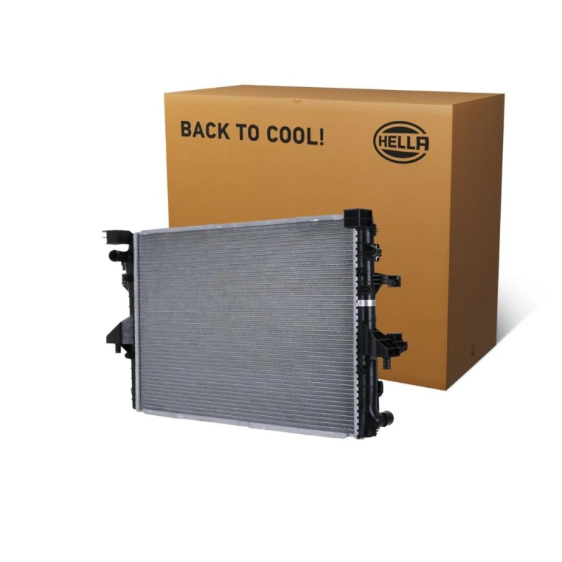 Image of HELLA Engine radiator HELLA 8MK 366 300-291