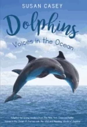 Image of dolphins voices in the ocean