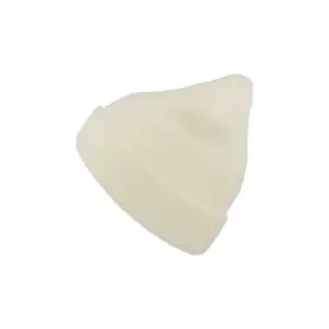 Image of Atlantis Wind Childrens/Kids Double Skin Beanie With Turn Up (One Size) (White)