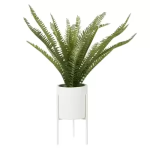 Image of Interiors By Premier Fern White Cement Pot with a Iron Stand