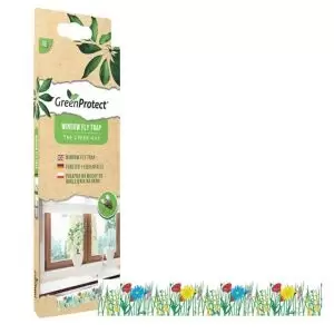 image of Green Protect Window Fly Trap, Pack Of 6