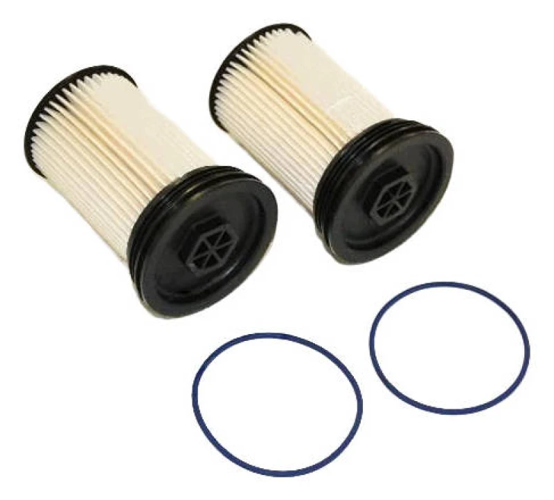Image of ASHIKA 30-ECO089 Fuel Filter In-Line Filter Fuel filter (9)
